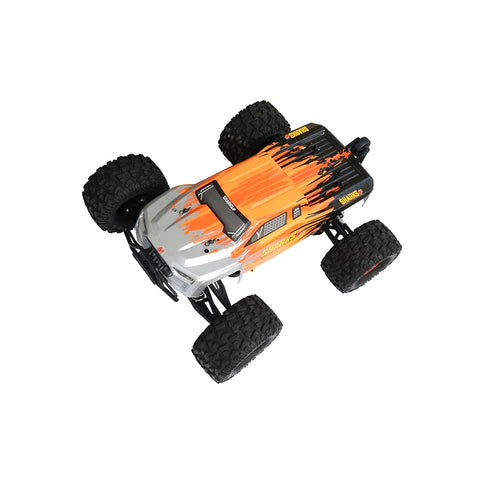 Can adults play with RC cars?