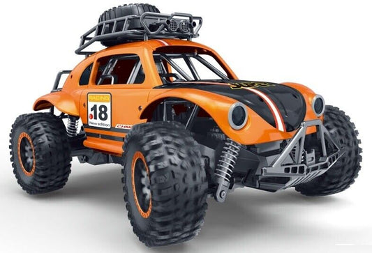 RC Auto and Various types of RC cars and Trucks