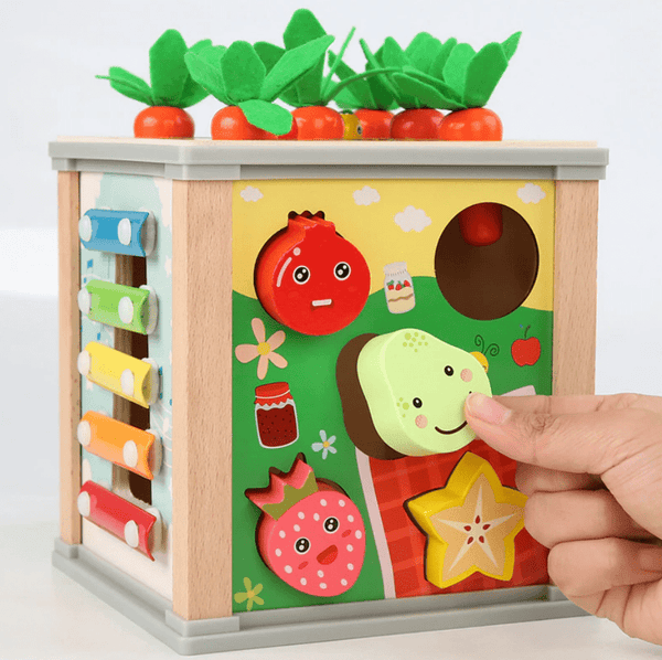 Educational Wooden Montessori Learning Sorter Toys For Toddlers