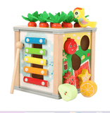 Educational Wooden Montessori Learning Sorter Toys For Toddlers