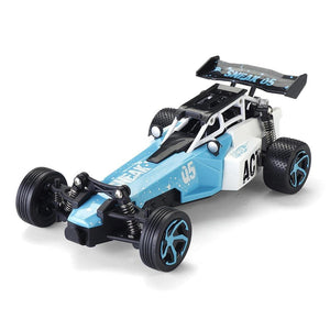 High Speed RC Car Off-road Vehicle Racing Models 1/24 2.4G
